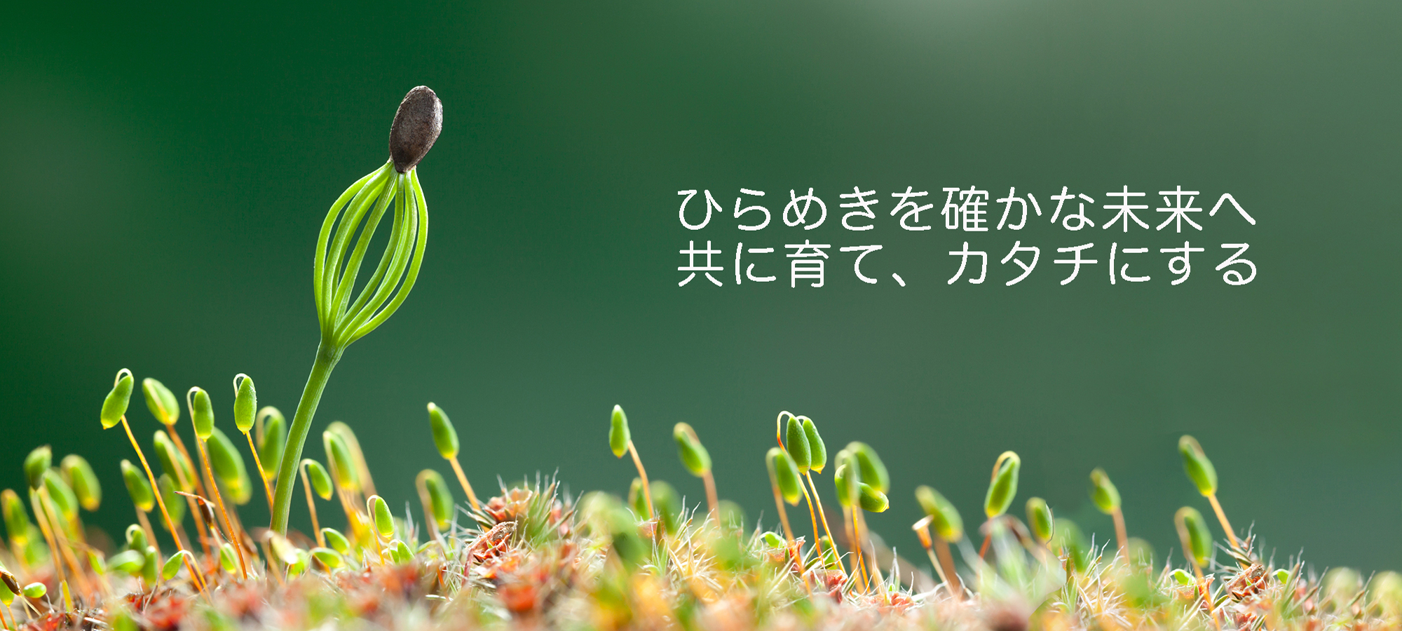 ひらめきを確かな未来へ